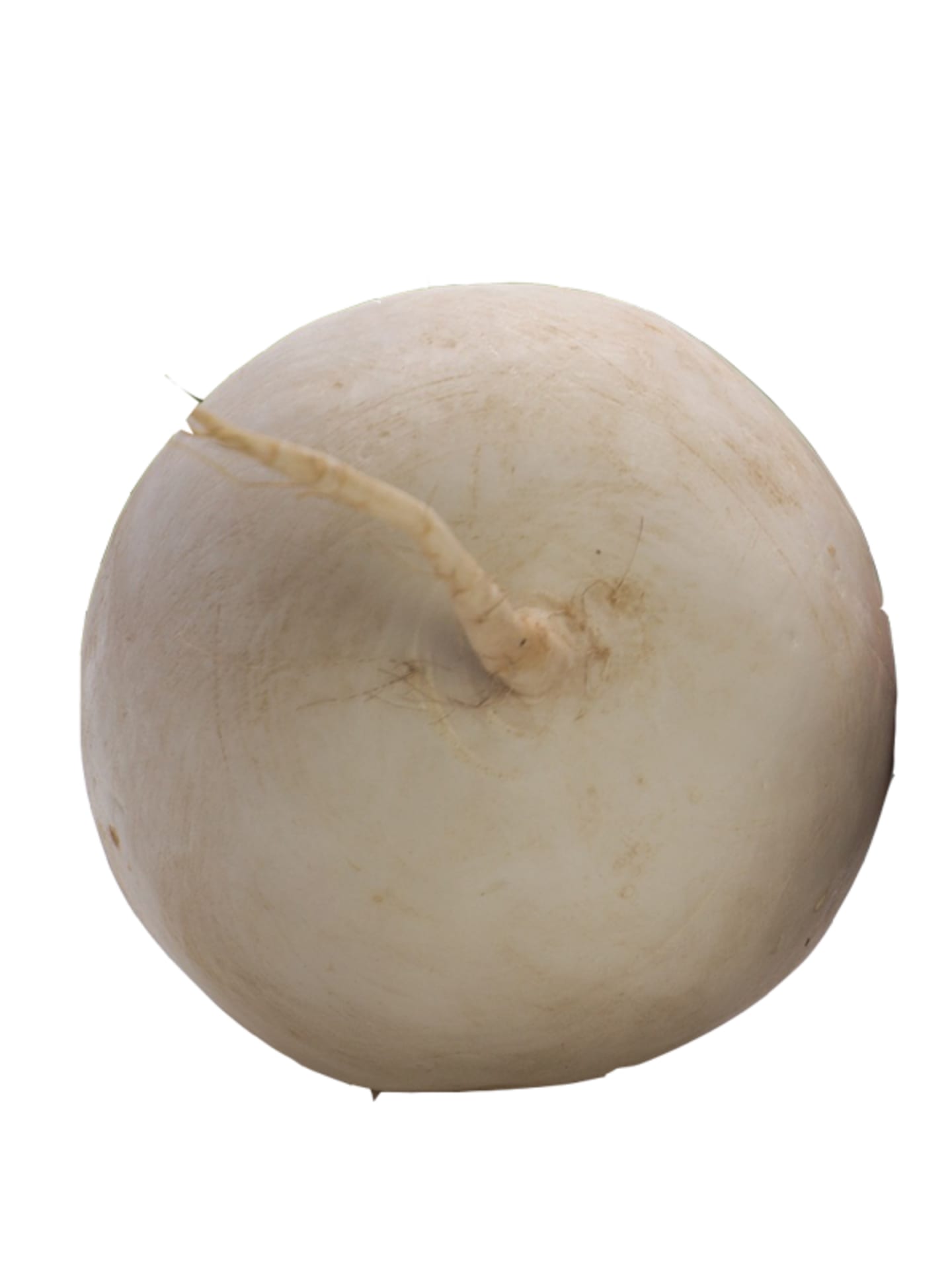 Vitbeta