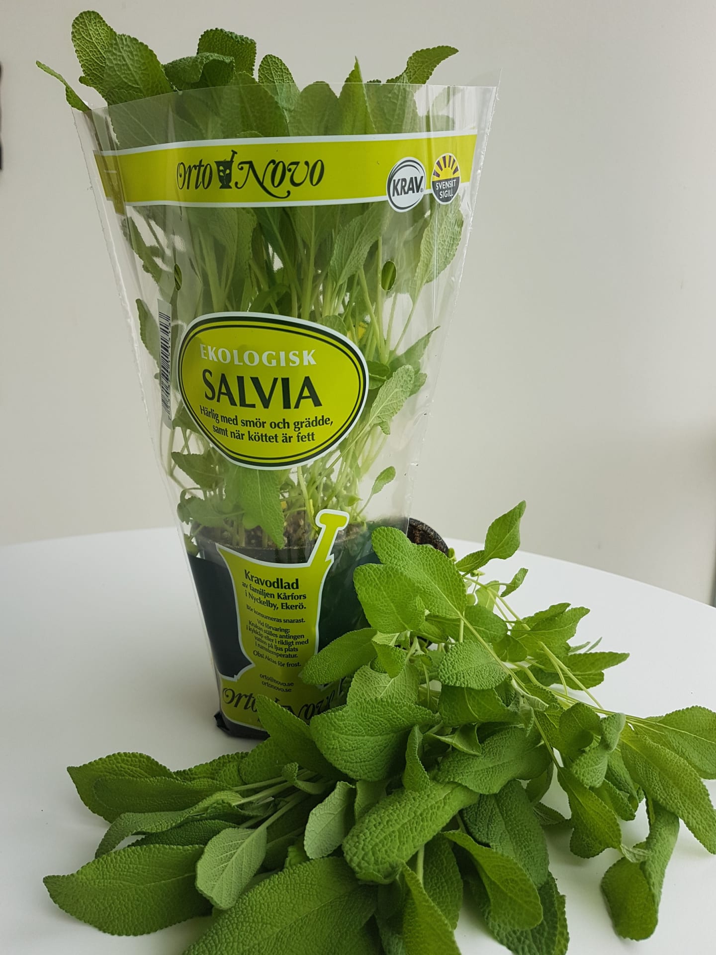 Salvia kruka