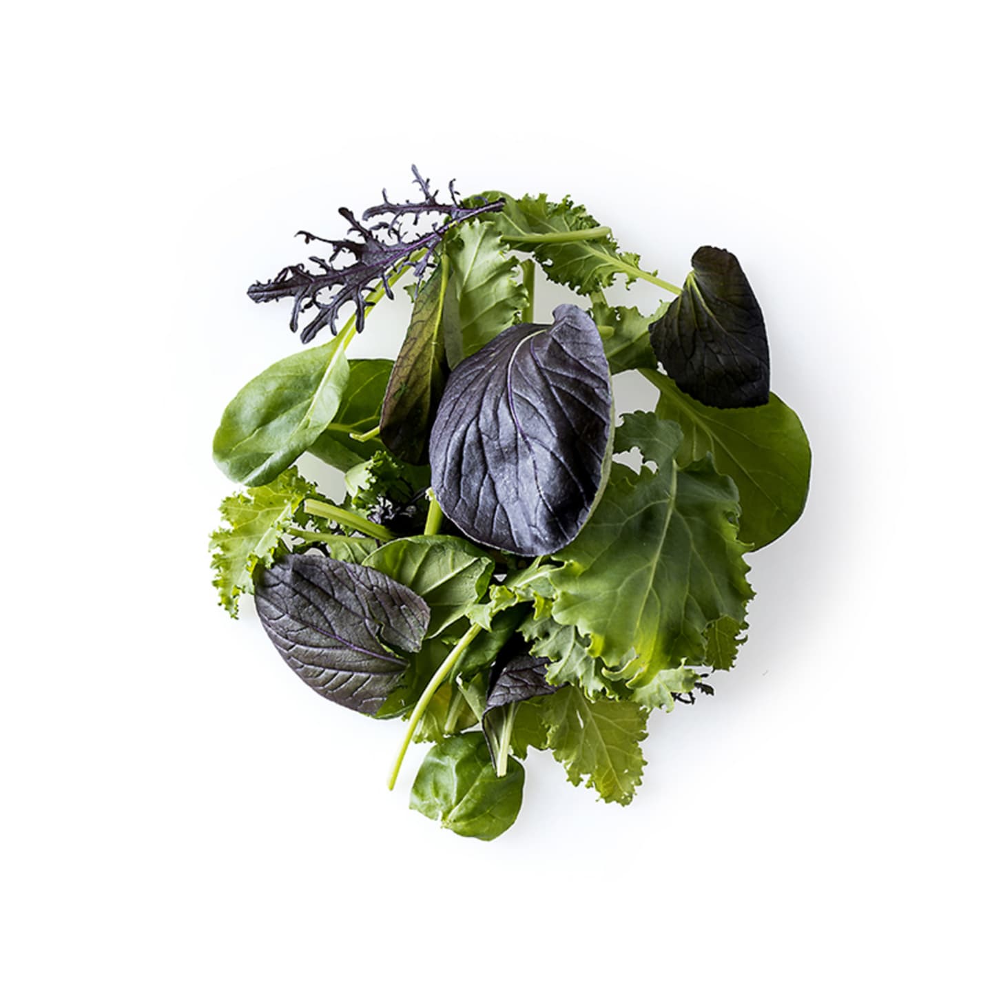 Sallad Nordicamix 500g