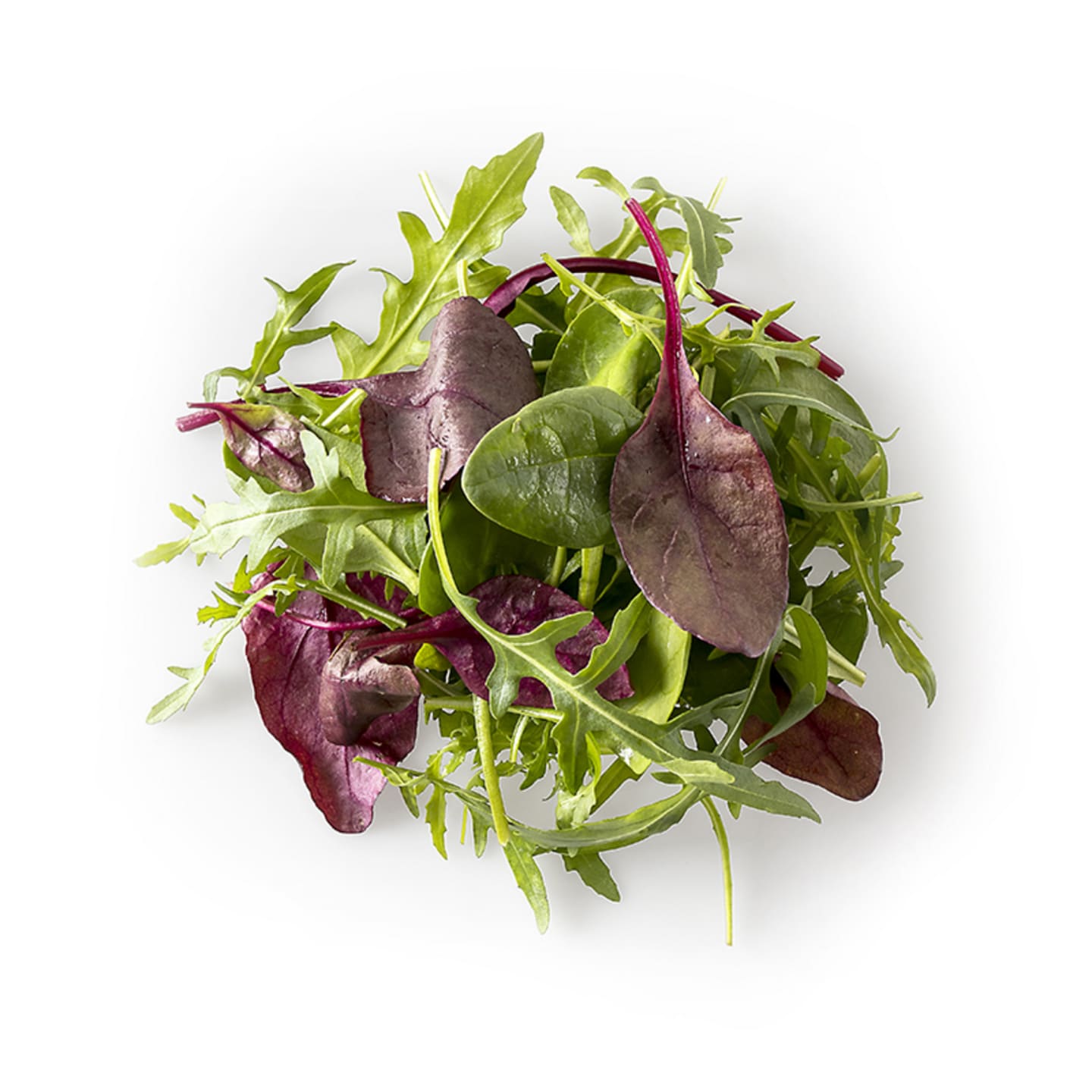 Sallad Napolitana tvättad 500g