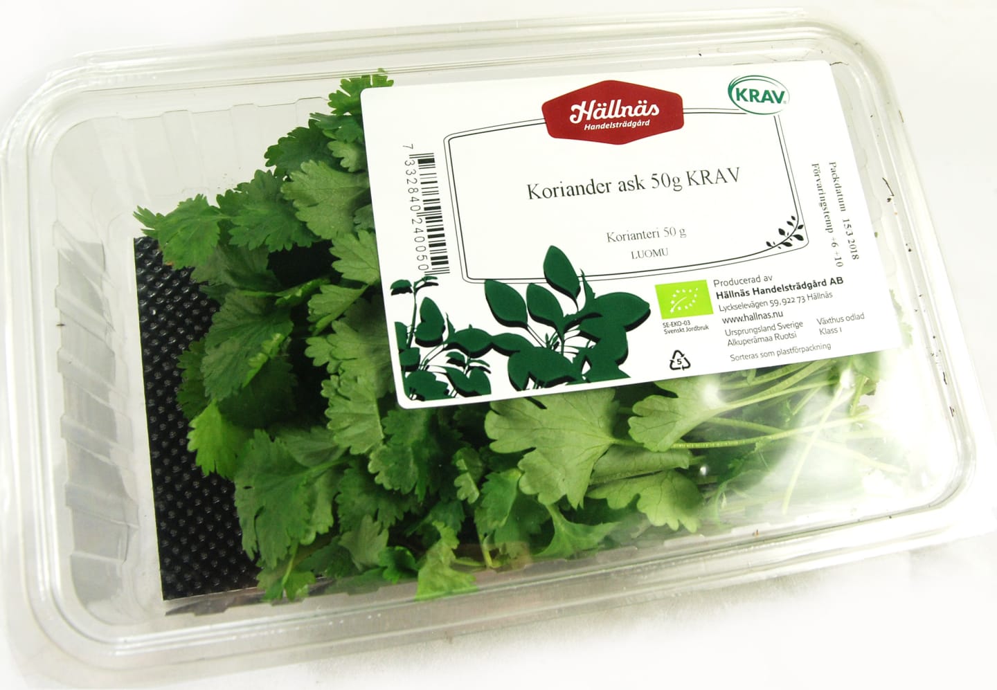 Koriander 50g - Bild 1 av 2