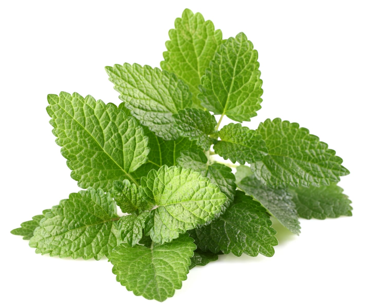 Citronmeliss 50g