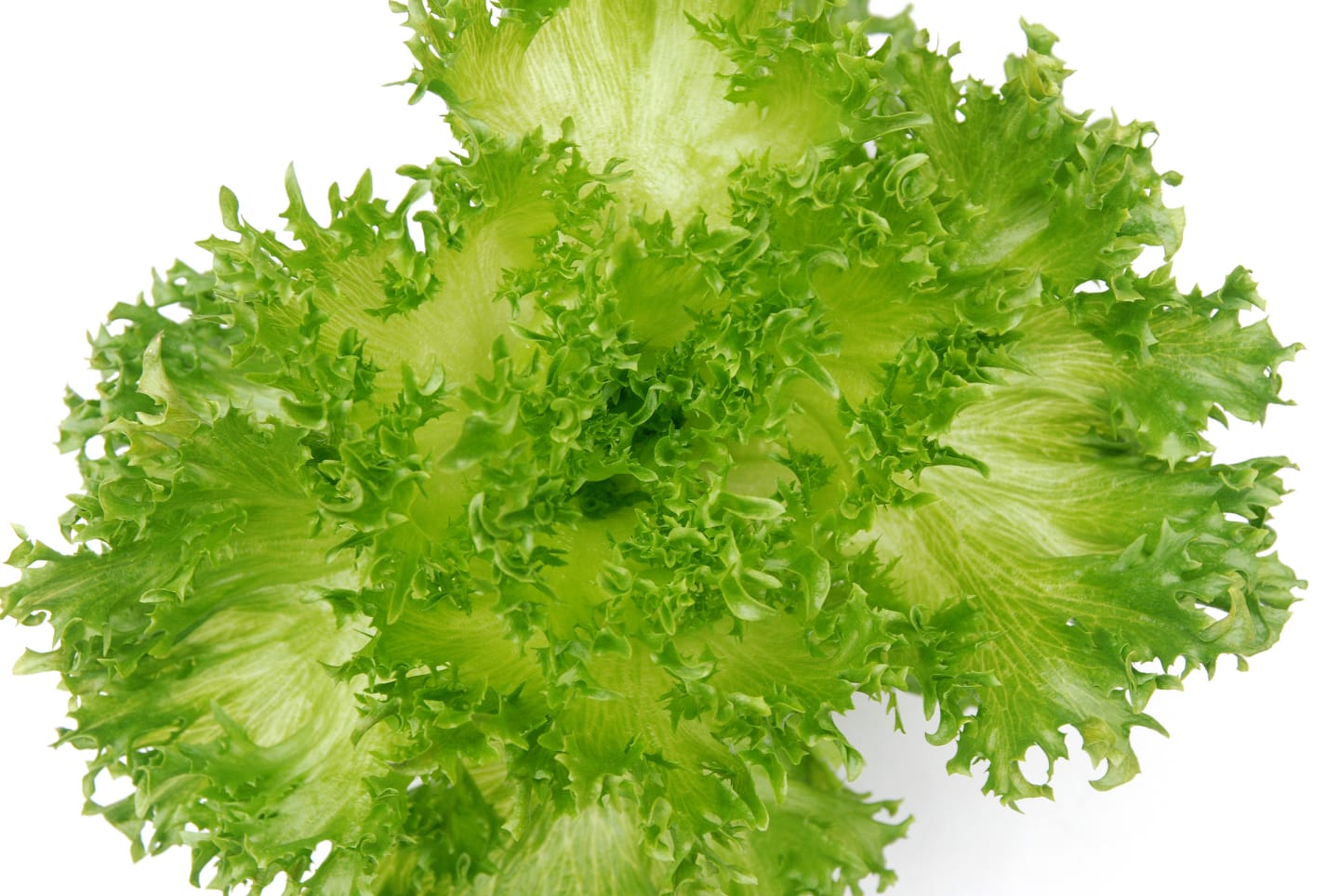 Sallad Crisp