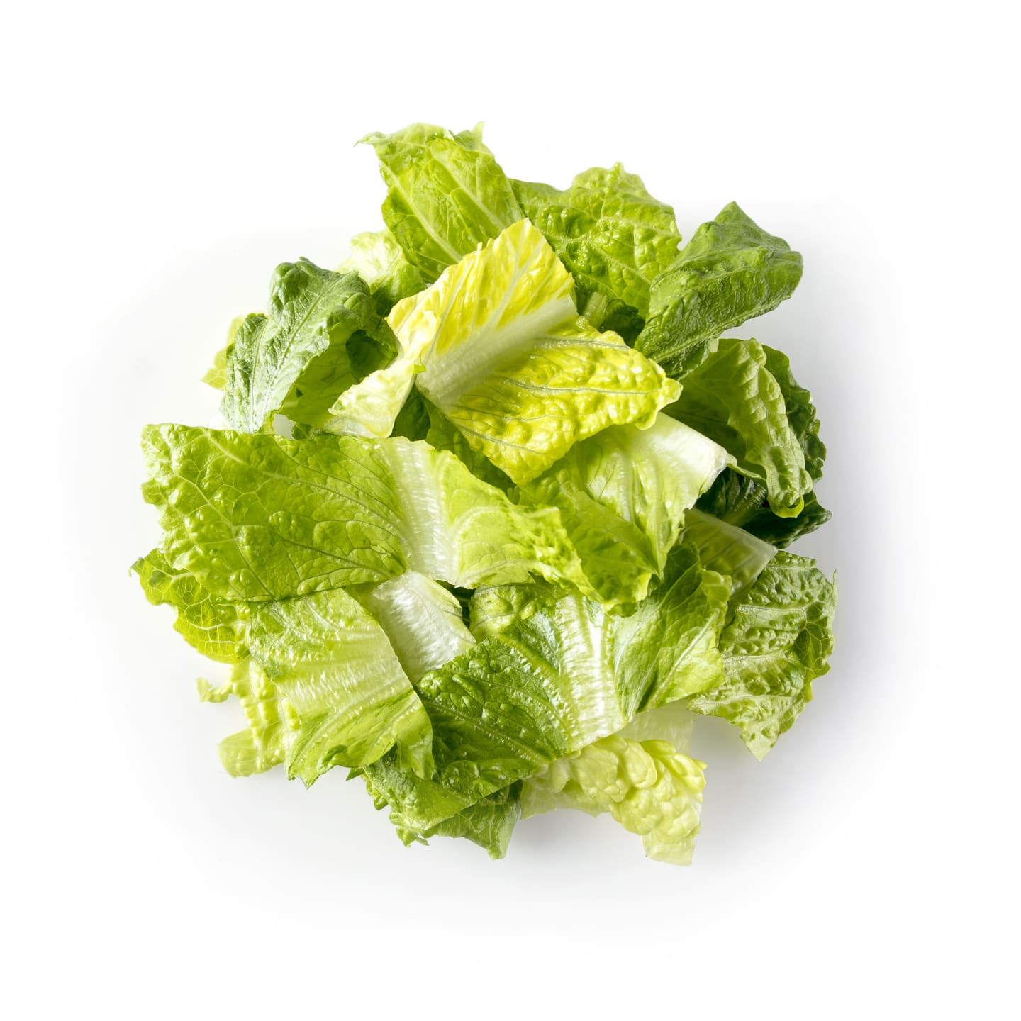 Sallad Roman rough cut 6x500g