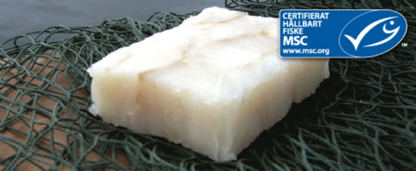 Torskfilé portion block MSC 125g/7kg