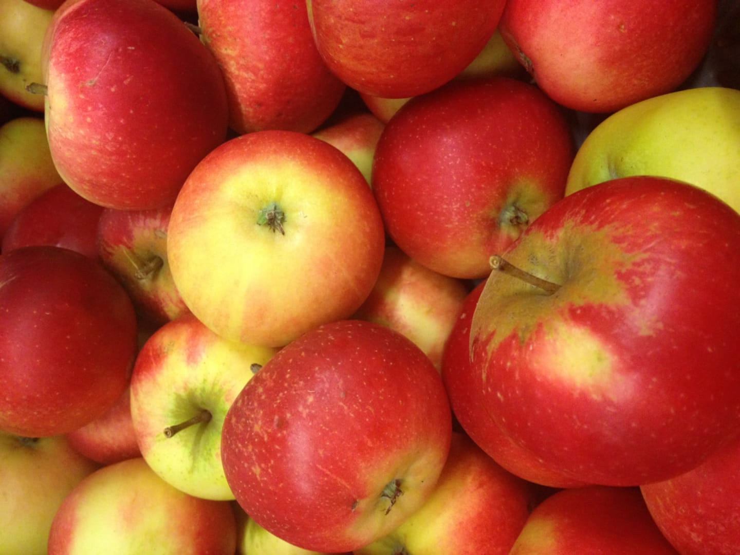 Äpple Discovery