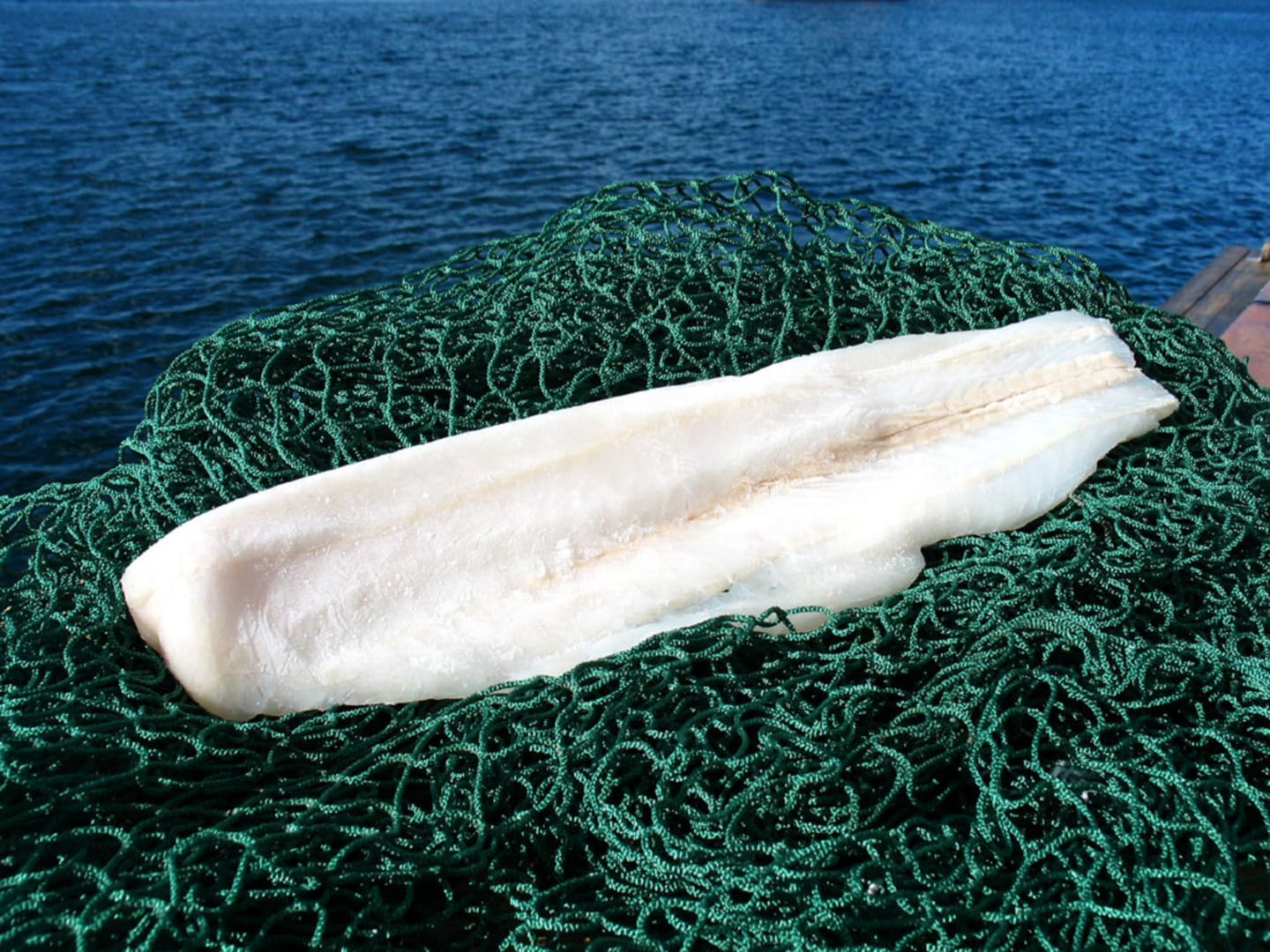 Hokifilé skinn/benfri MSC 110-170g/5kg