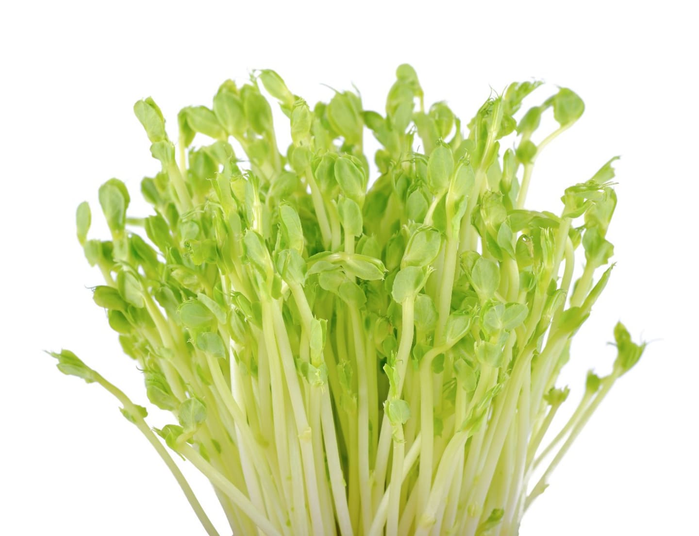 Vita ärtskott 100g