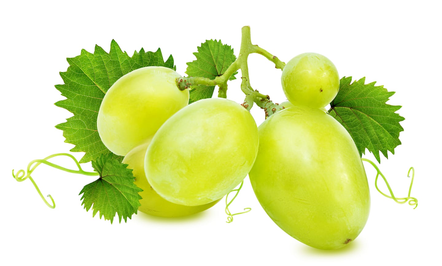 Druva grön kärnfri 500g