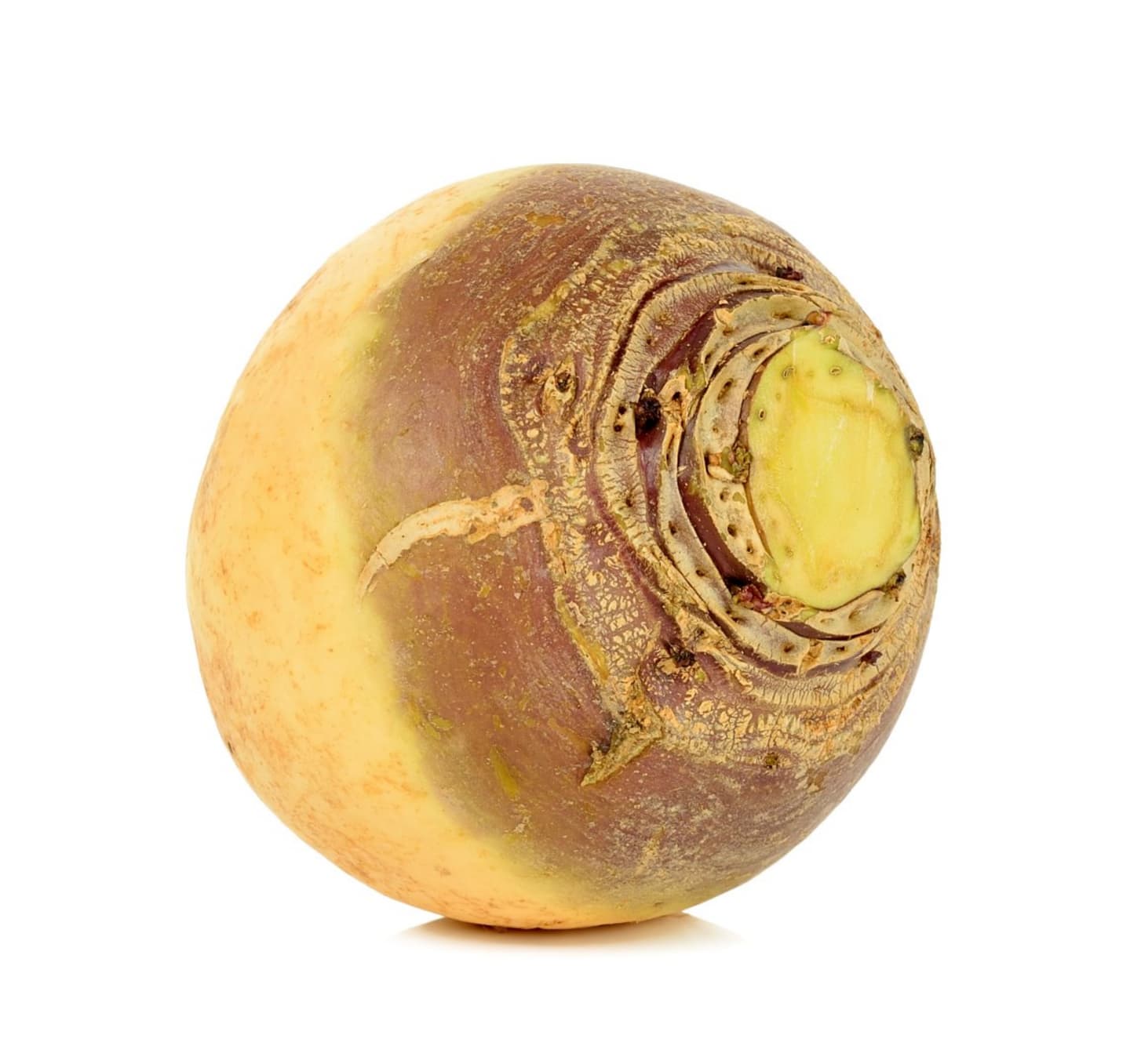 Kålrot