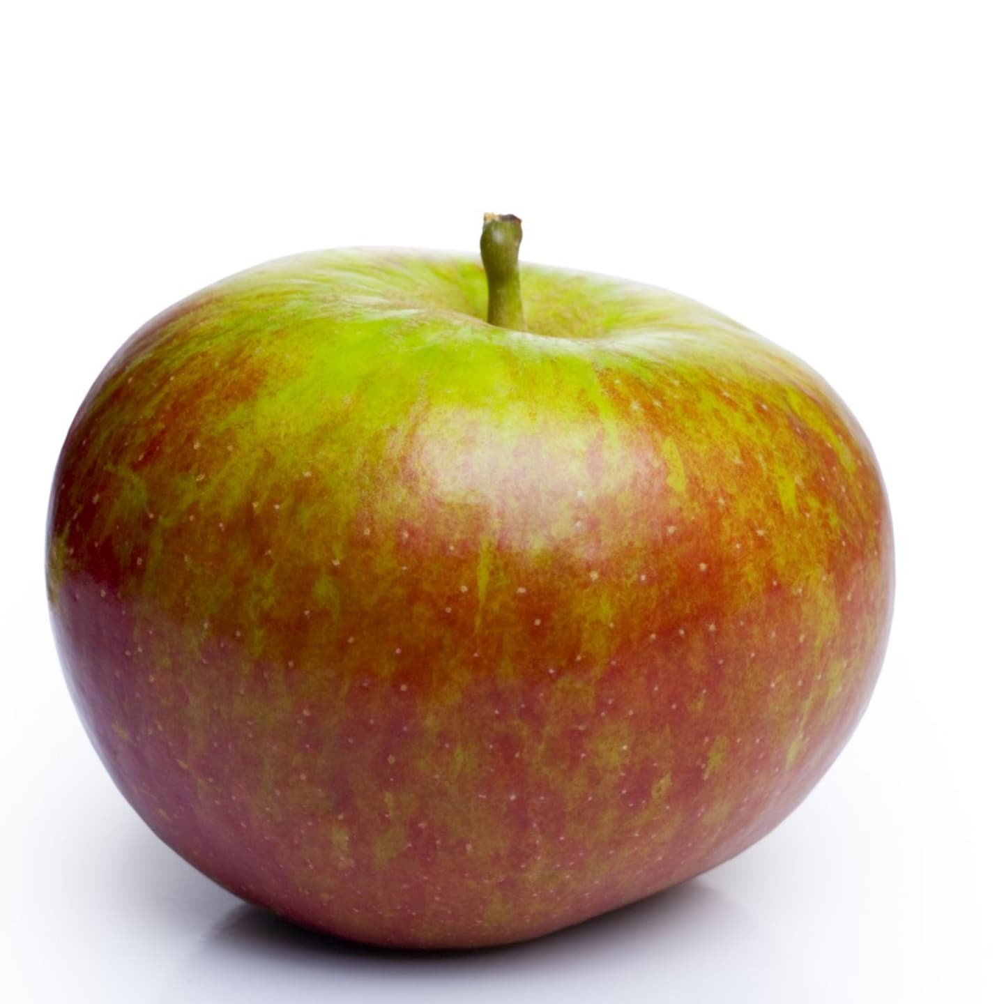 Äpple Cox orange - Bild 1 av 1