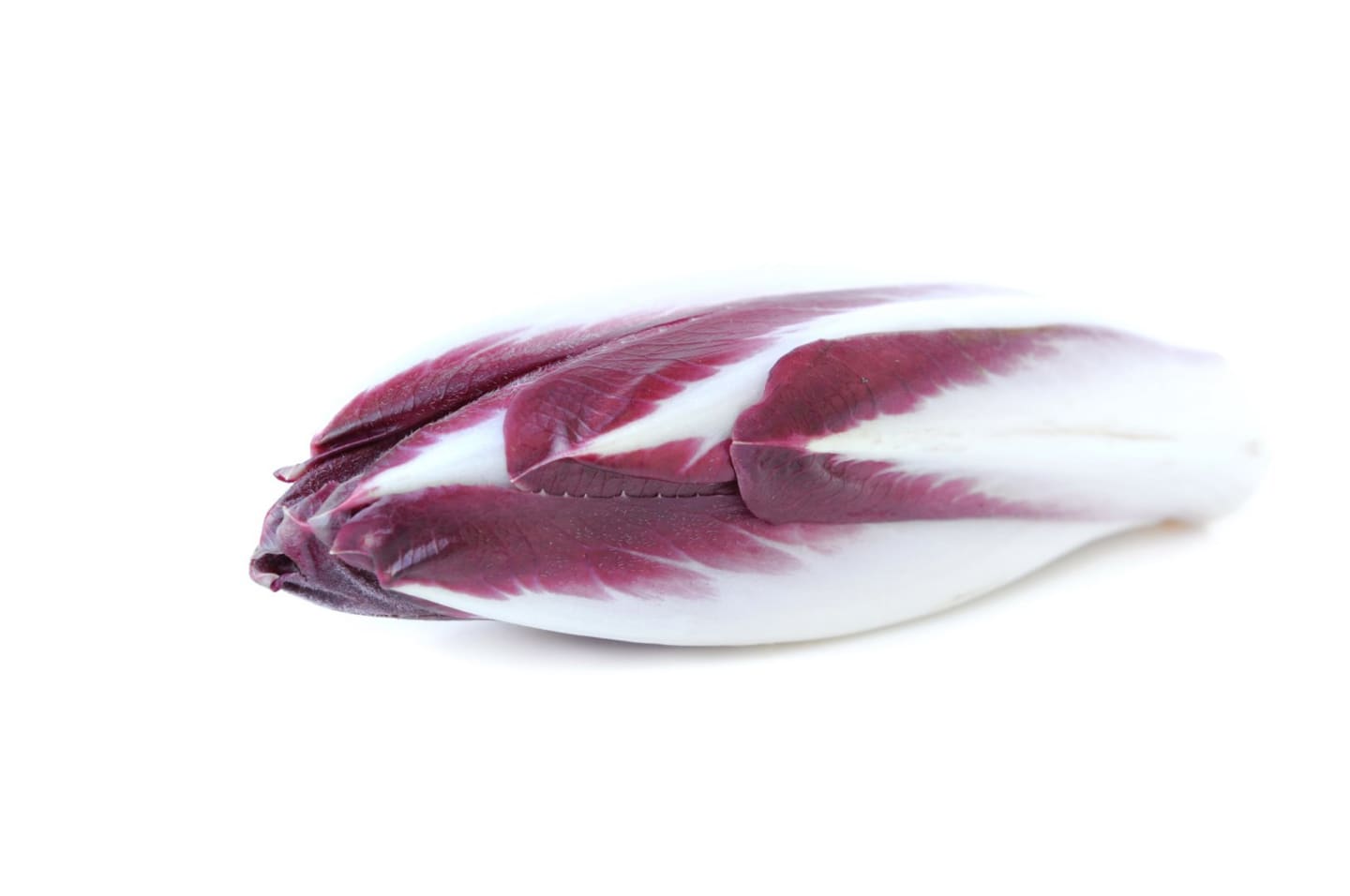 Sallad Endive röd - Bild 1 av 1