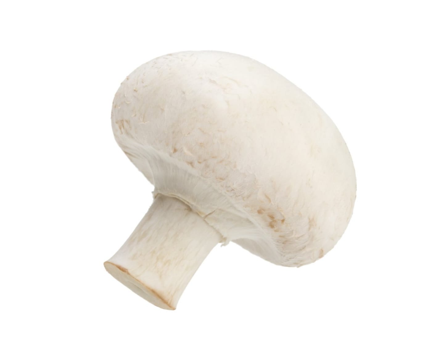 Champinjon 'ex-fine' 3kg