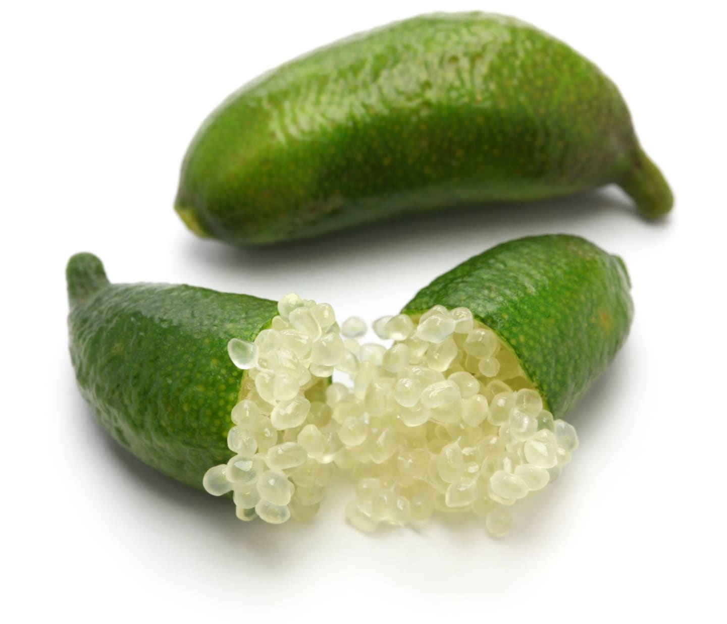 Fingerlime hg