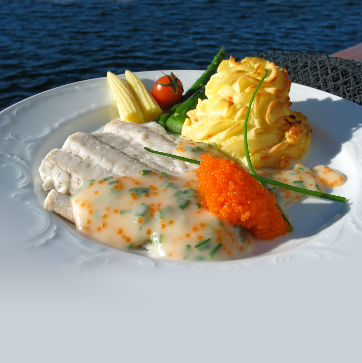 Sejfilé MSC 125-250g/5kg