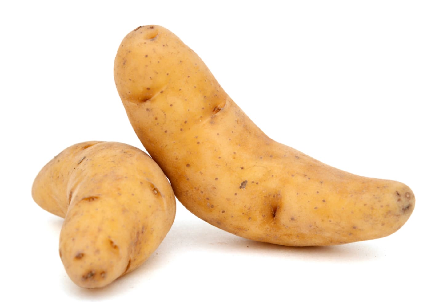 Potatis Ratte 5kg