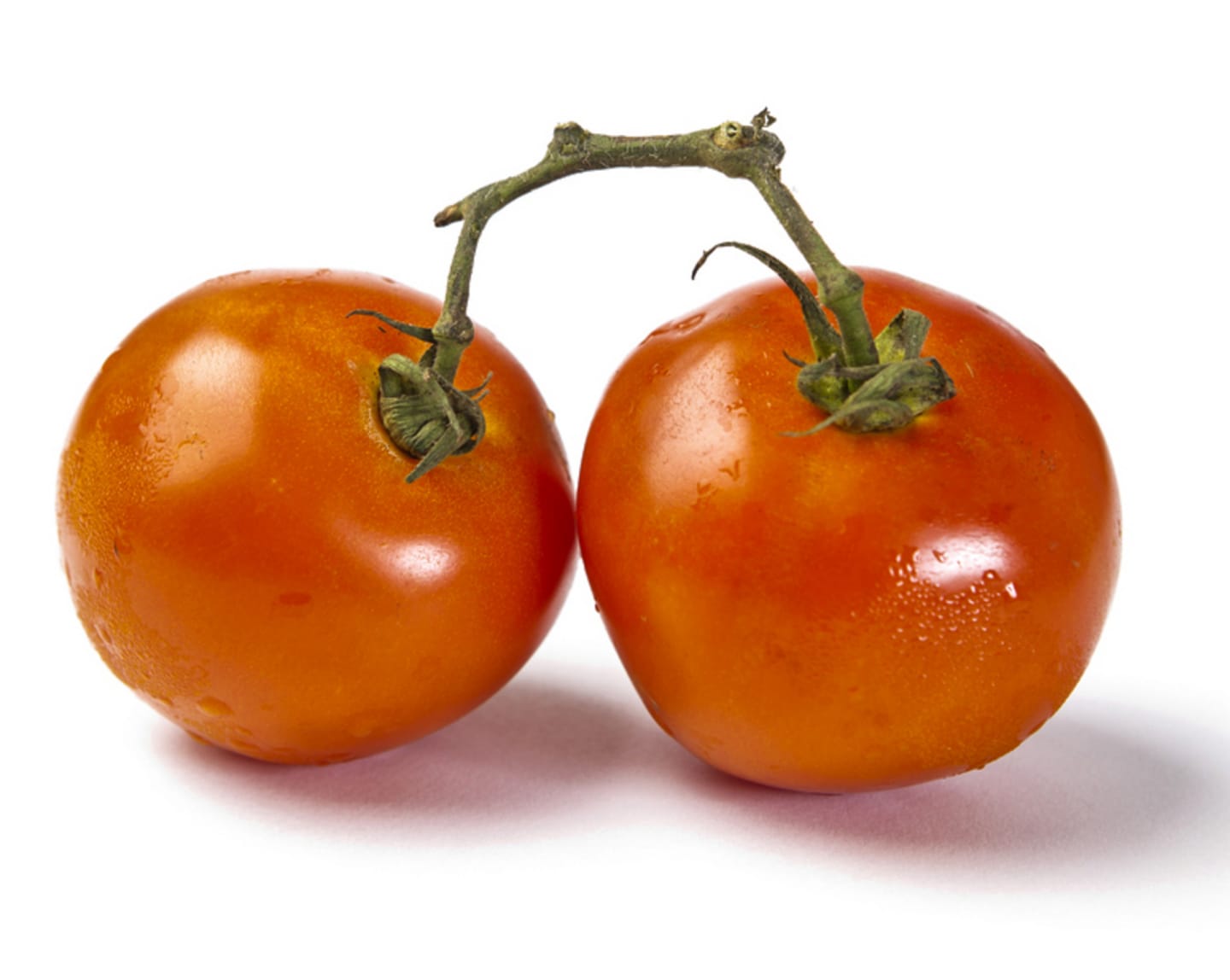 Tomat kvist röd