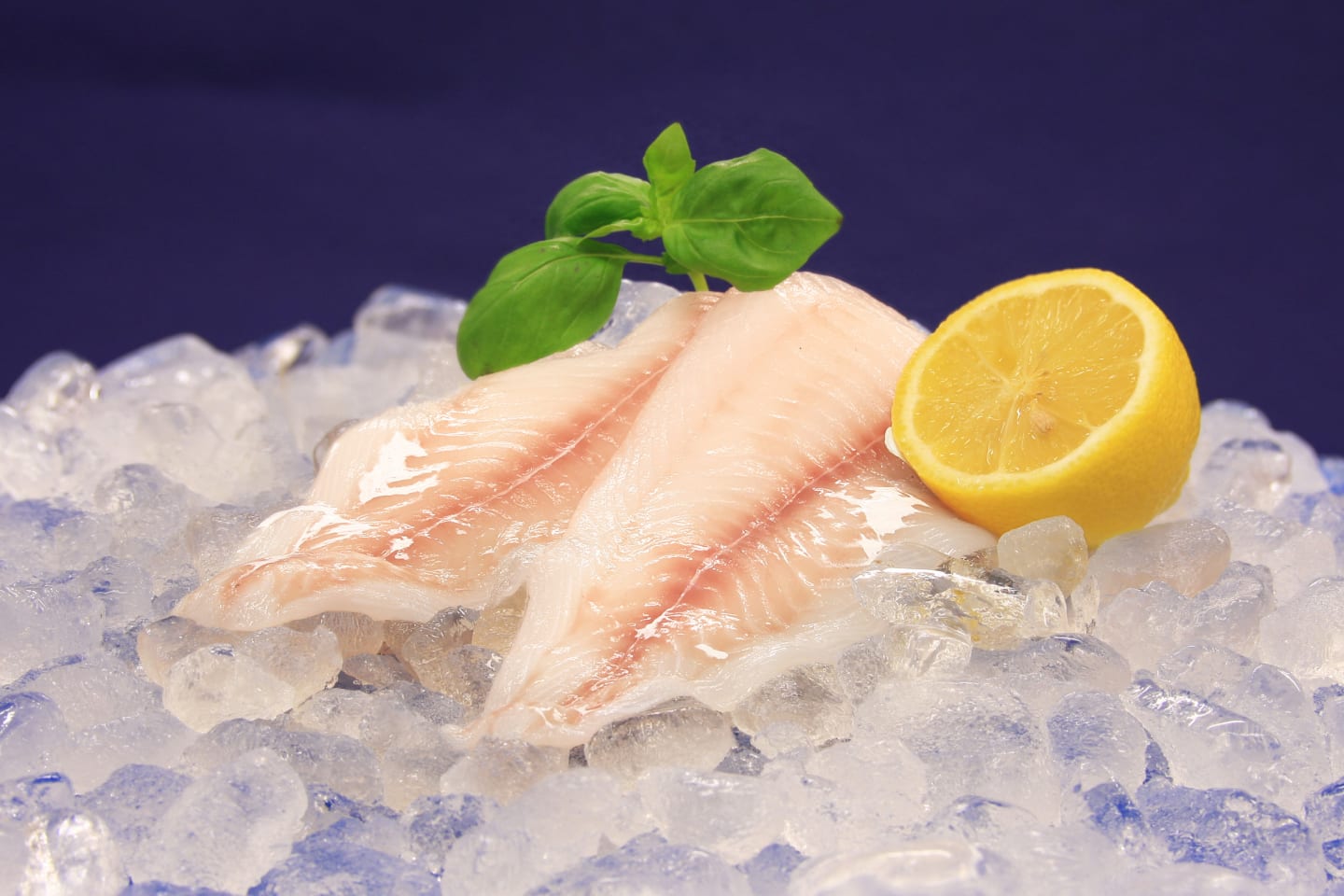Koljafilé BLUE MSC 125-250g/5kg
