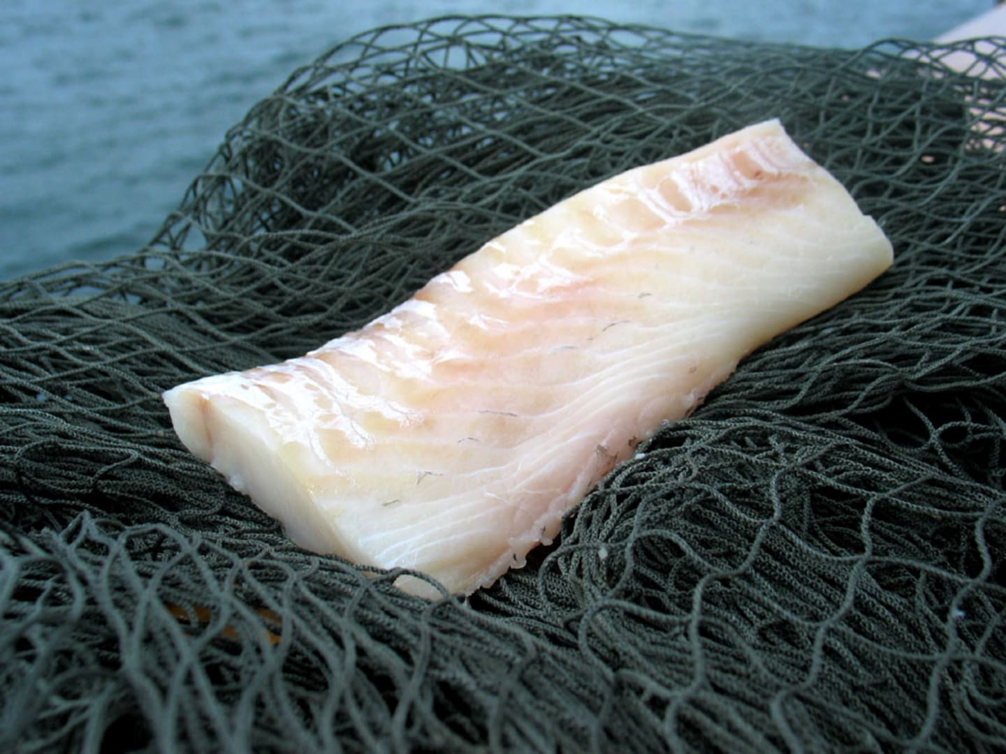 Koljafilé rygg BLUE MSC 110-130g/5kg