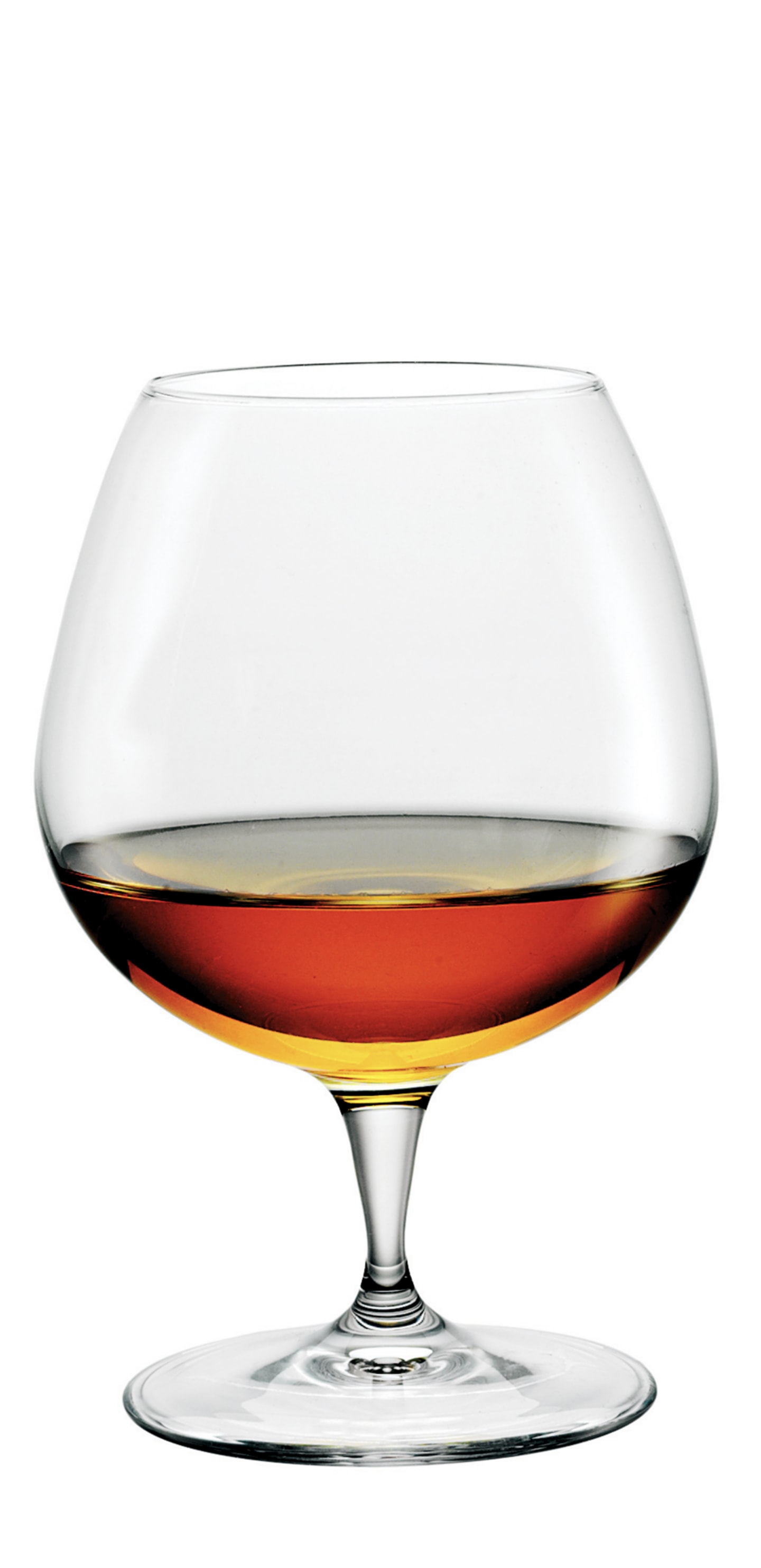 Premium cognacglas H182mm D75mm 64,5cl
