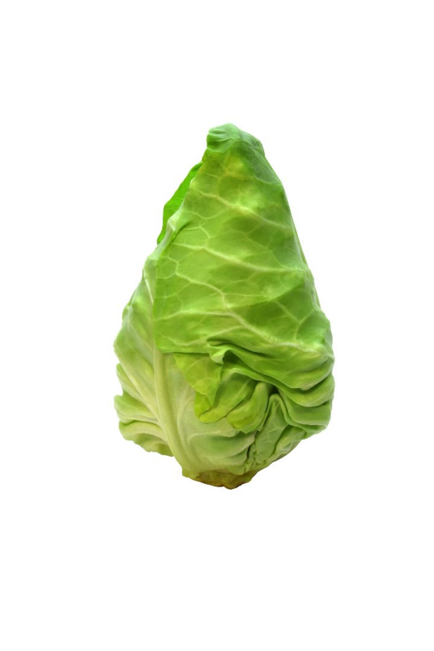 Spetskål