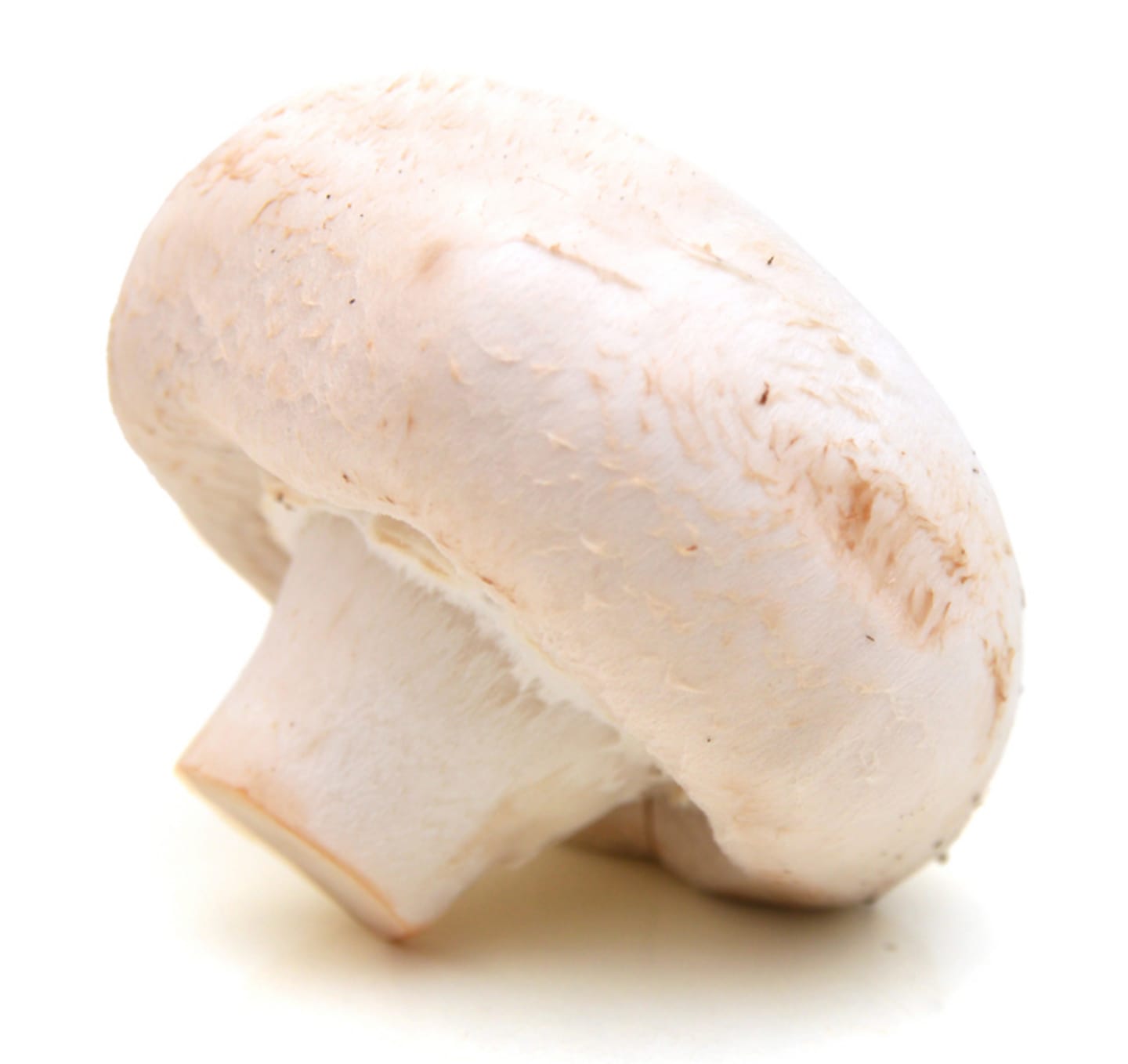 Champinjon 250g