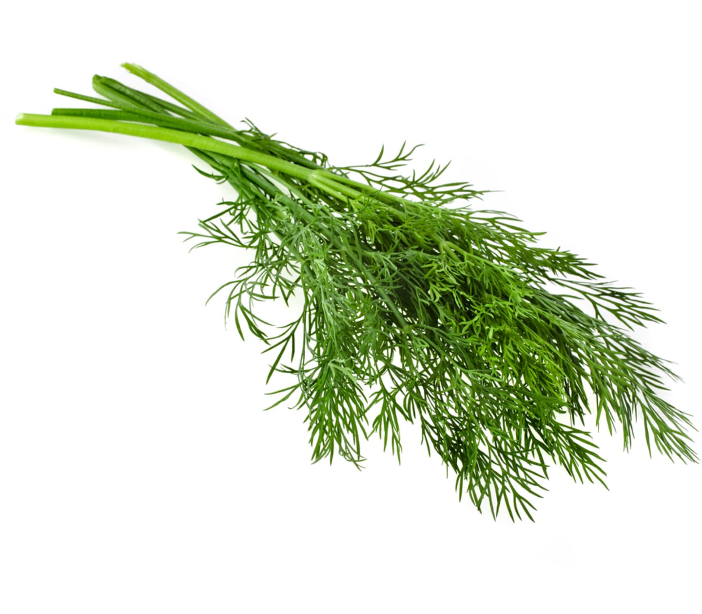 Dill 250g knippe