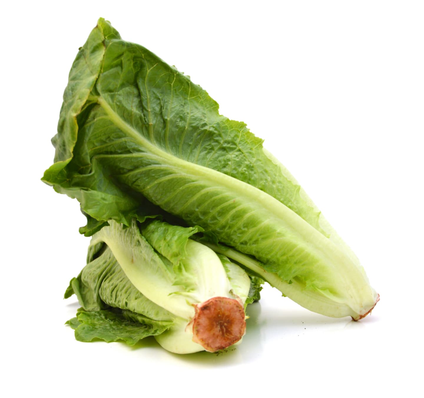 Sallad Roman