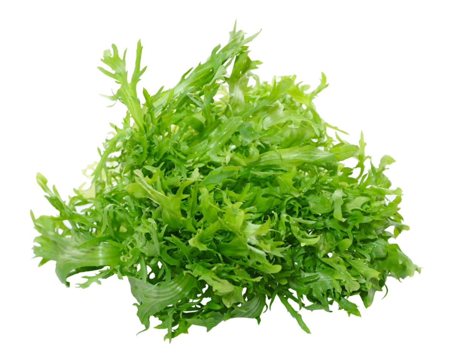 Sallad Fine Frisee