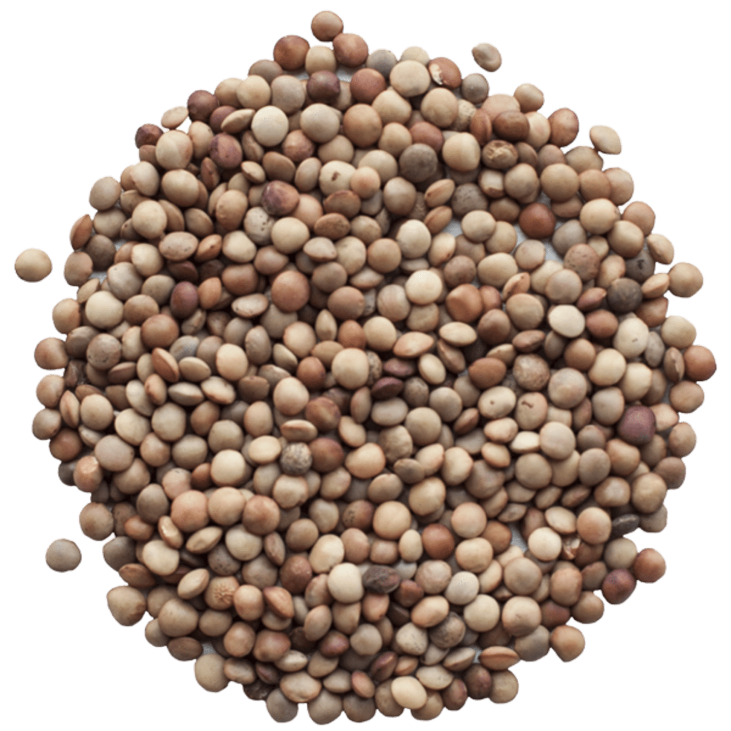 Gotlandslins 2,5kg