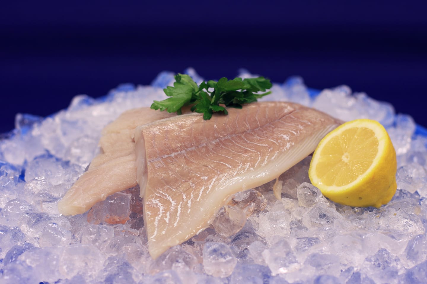 Sejfilé rygg BLUE MSC 120-140g/5kg