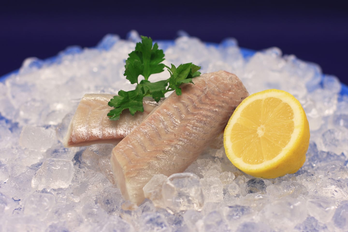 Sejfilé rygg BLUE MSC 60-100g/5kg