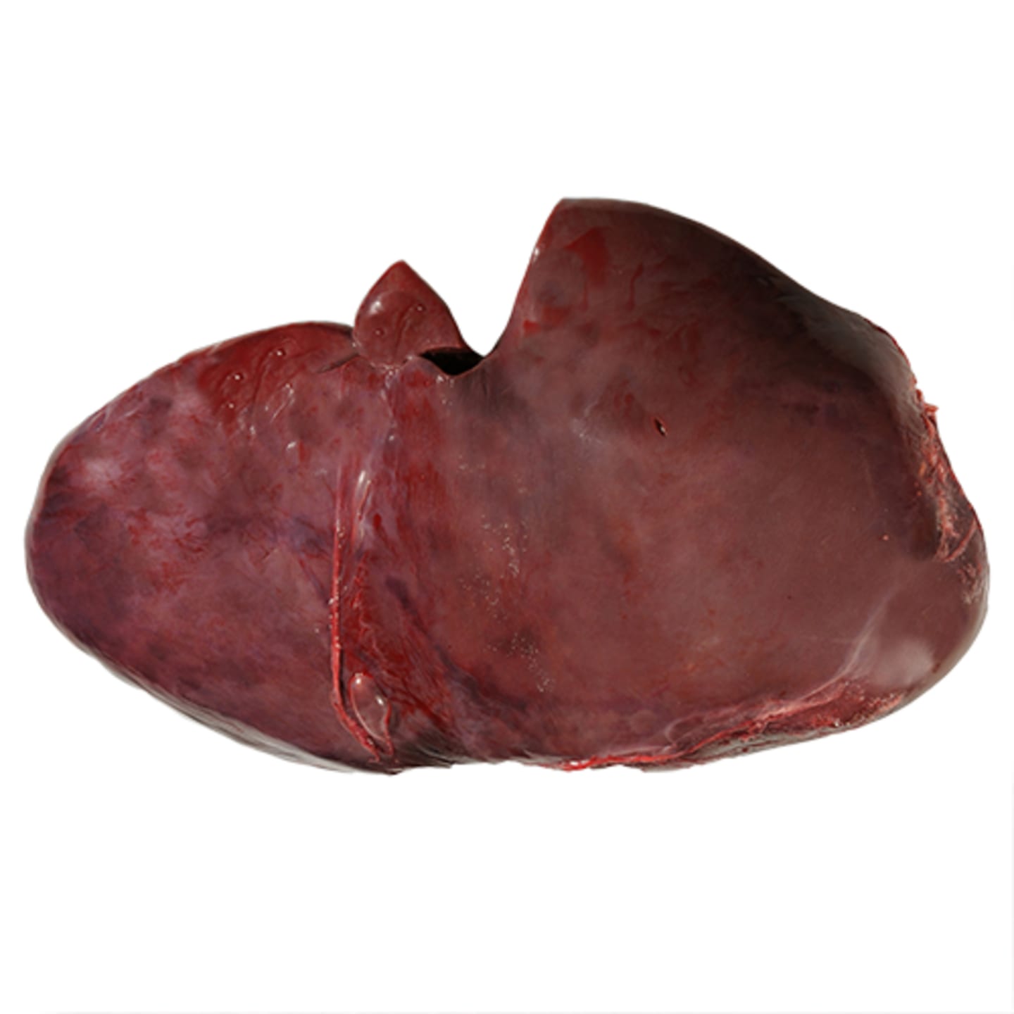 Ungnötslever 5kg
