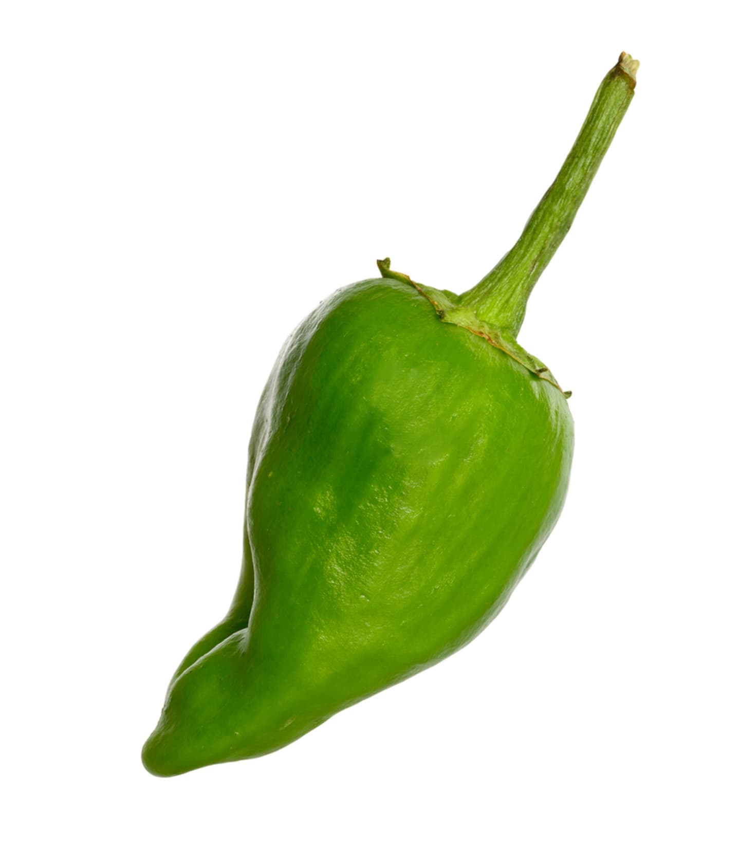Paprika Padron