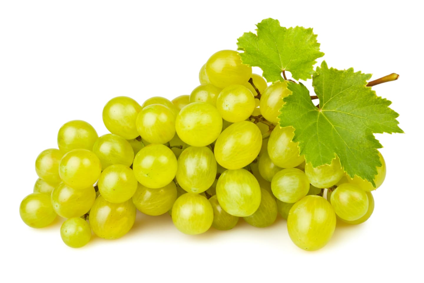 Druva grön Vittoria