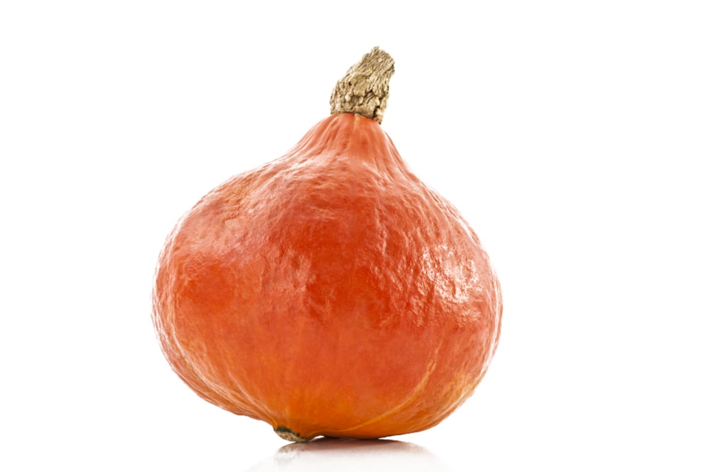 Hokaidopumpa