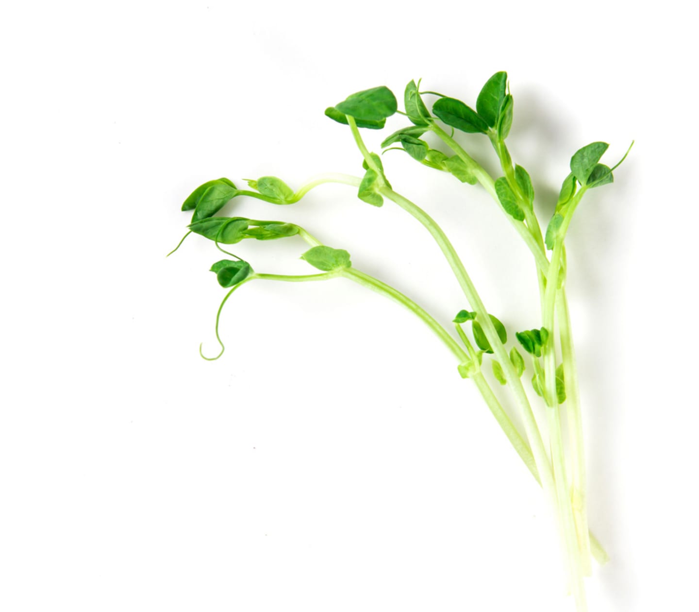 Gröna ärtskott 1kg