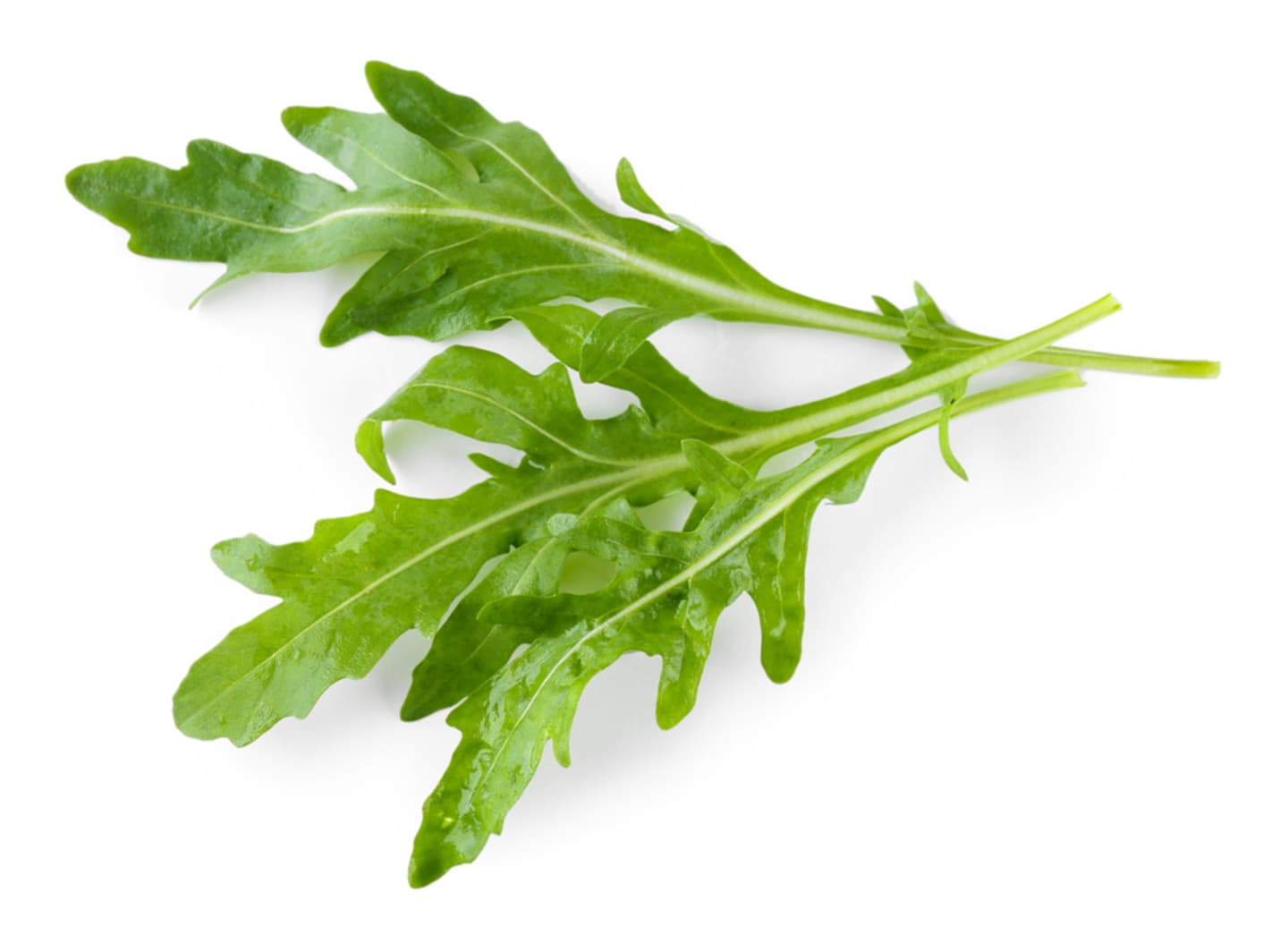 Sallad Ruccola 50g