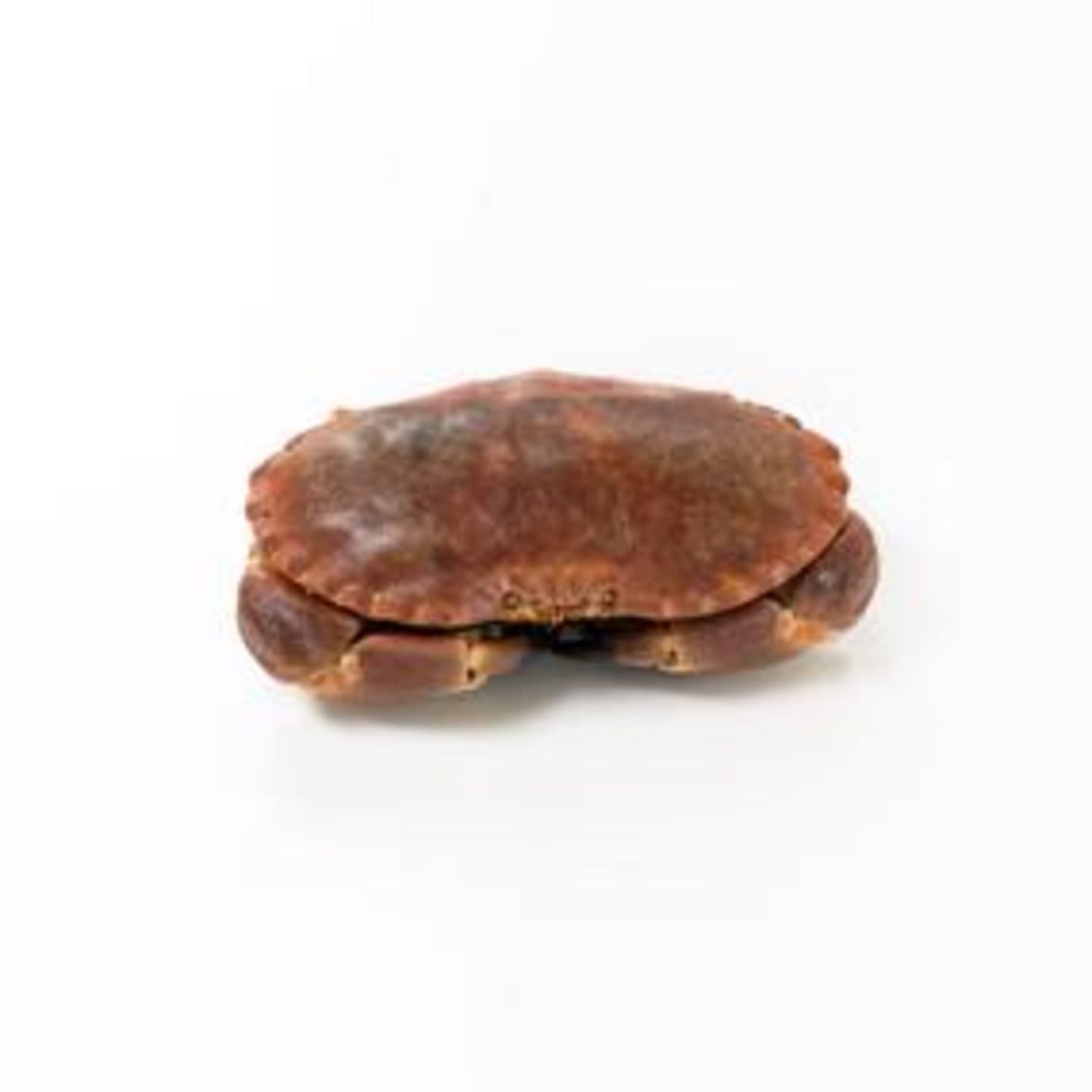 Krabba kokt i lag 2,3kg