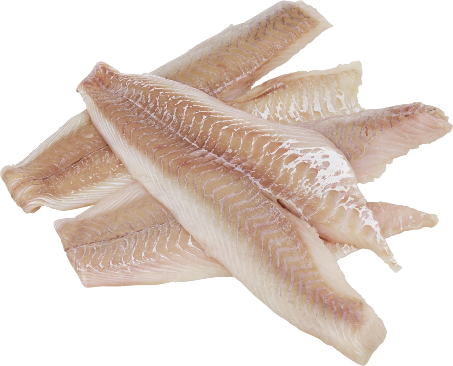 Sejfilé usk bfri MSC tråg 3kg