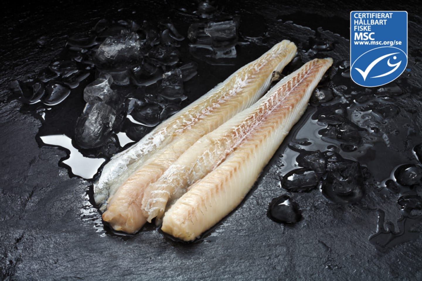 Alaska Pollockfilé MSC 120-170g/4,5kg