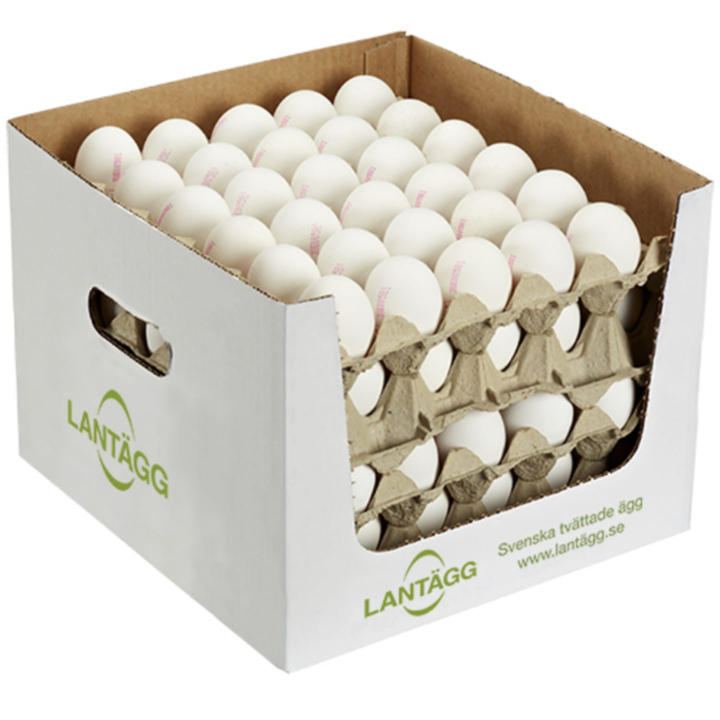 Ägg lösvikt frigående L 120p 7,98kg