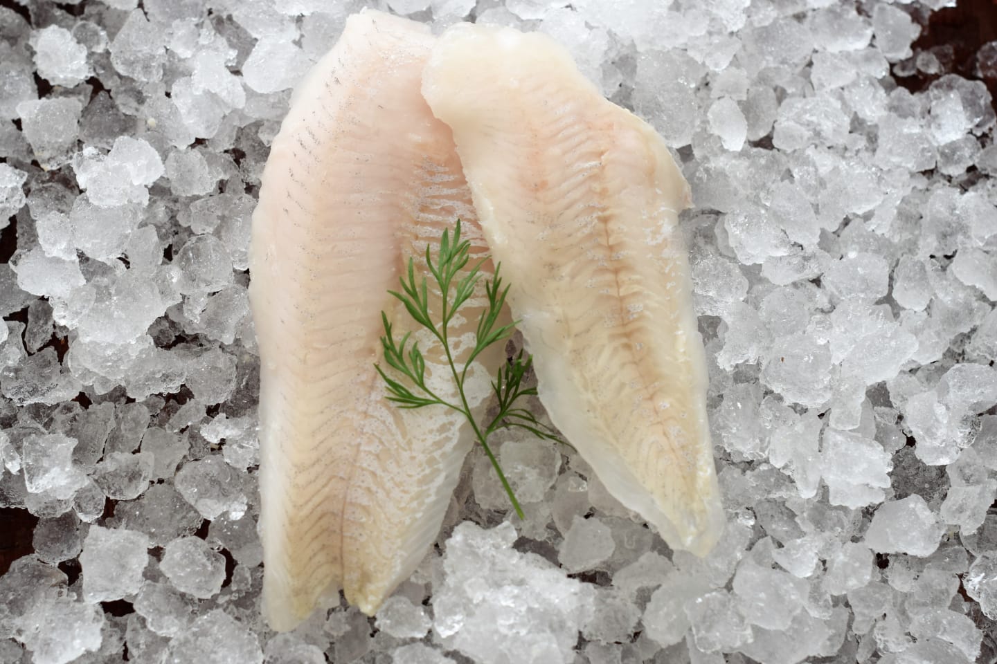 Kapkummelfilé 60-90g/4,5kg