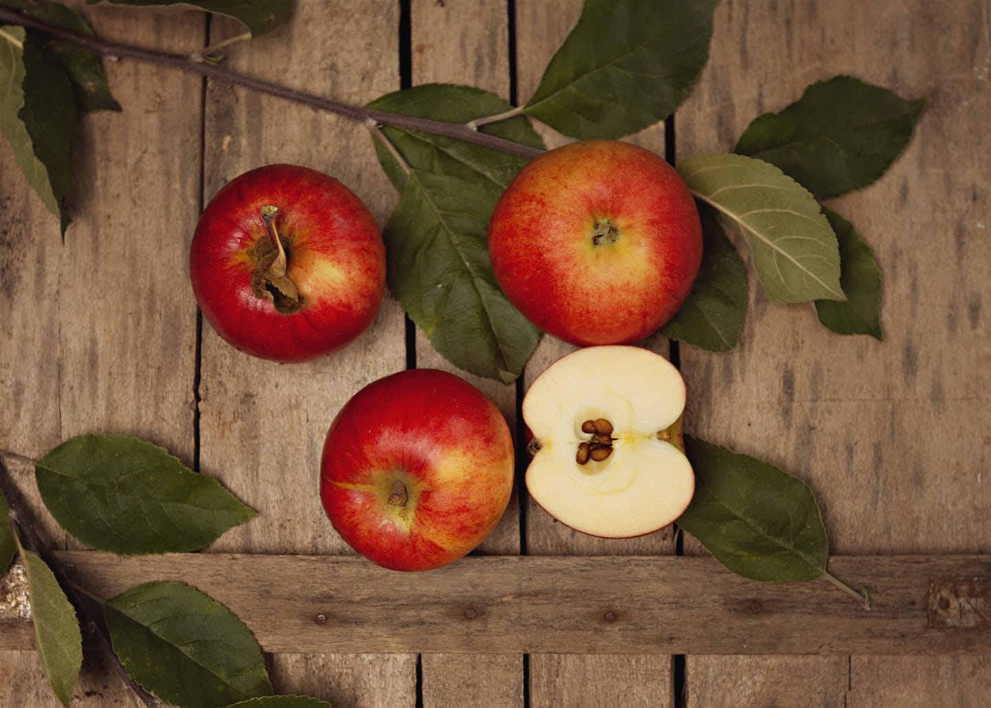 Äpple Rubinola - Bild 1 av 1