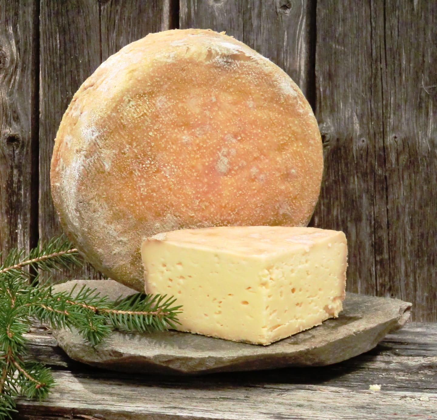 Fäbodost kittost ko ca1,5kg