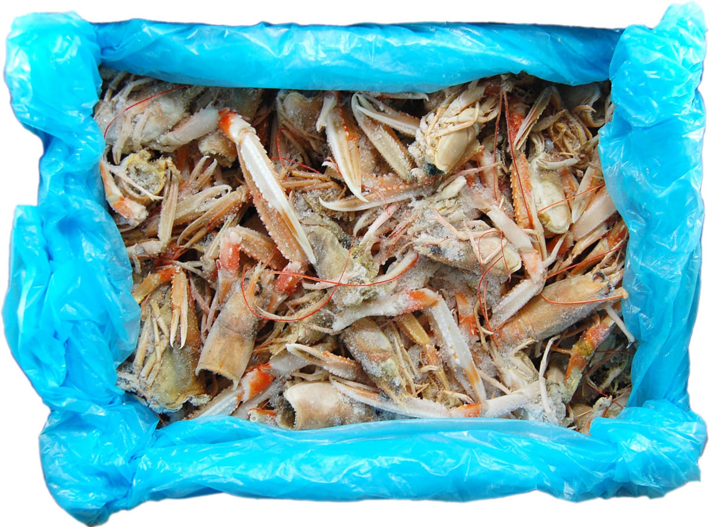 Skal havskräfta MSC 1kg