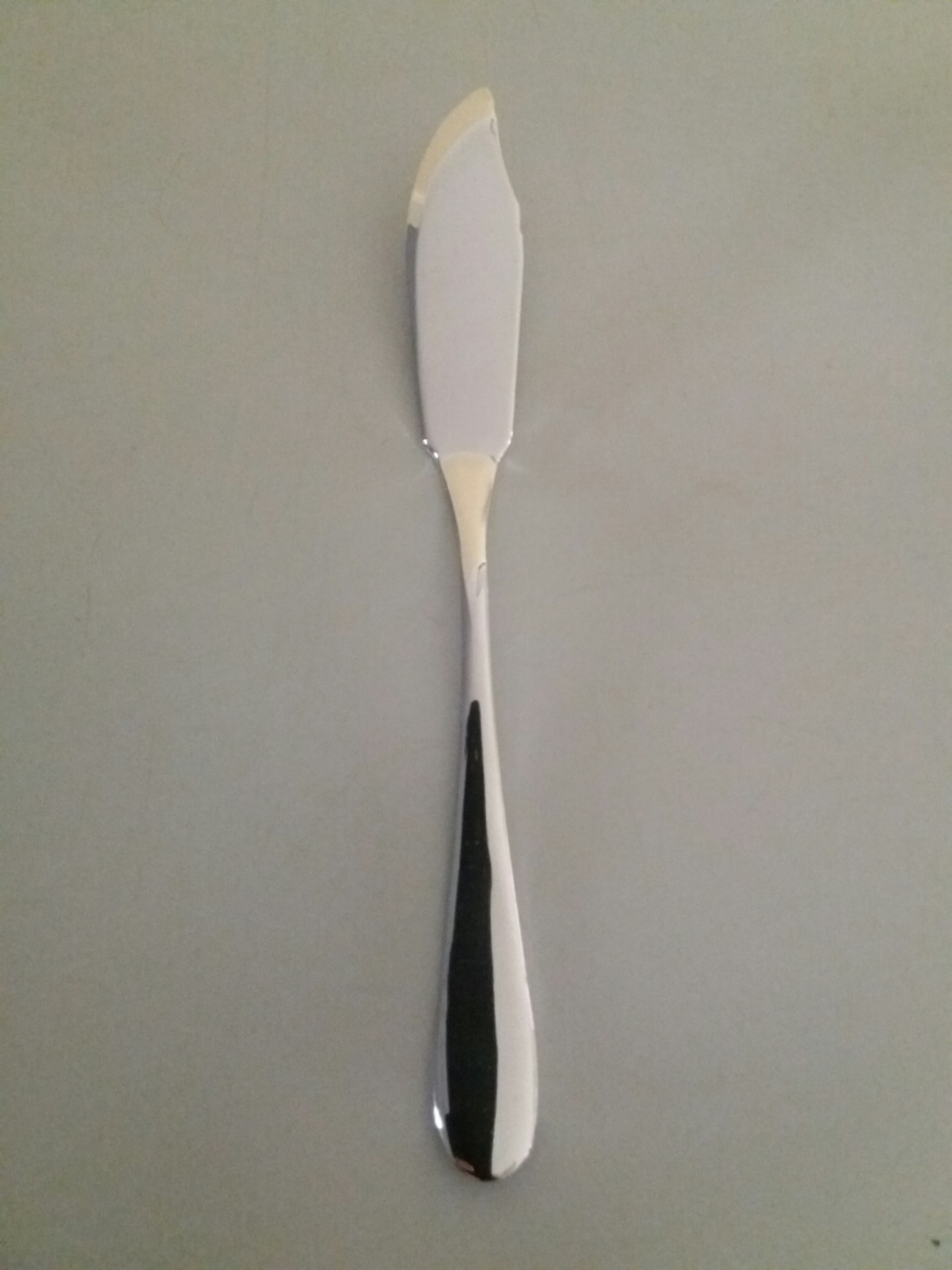 Vera fiskkniv 216mm