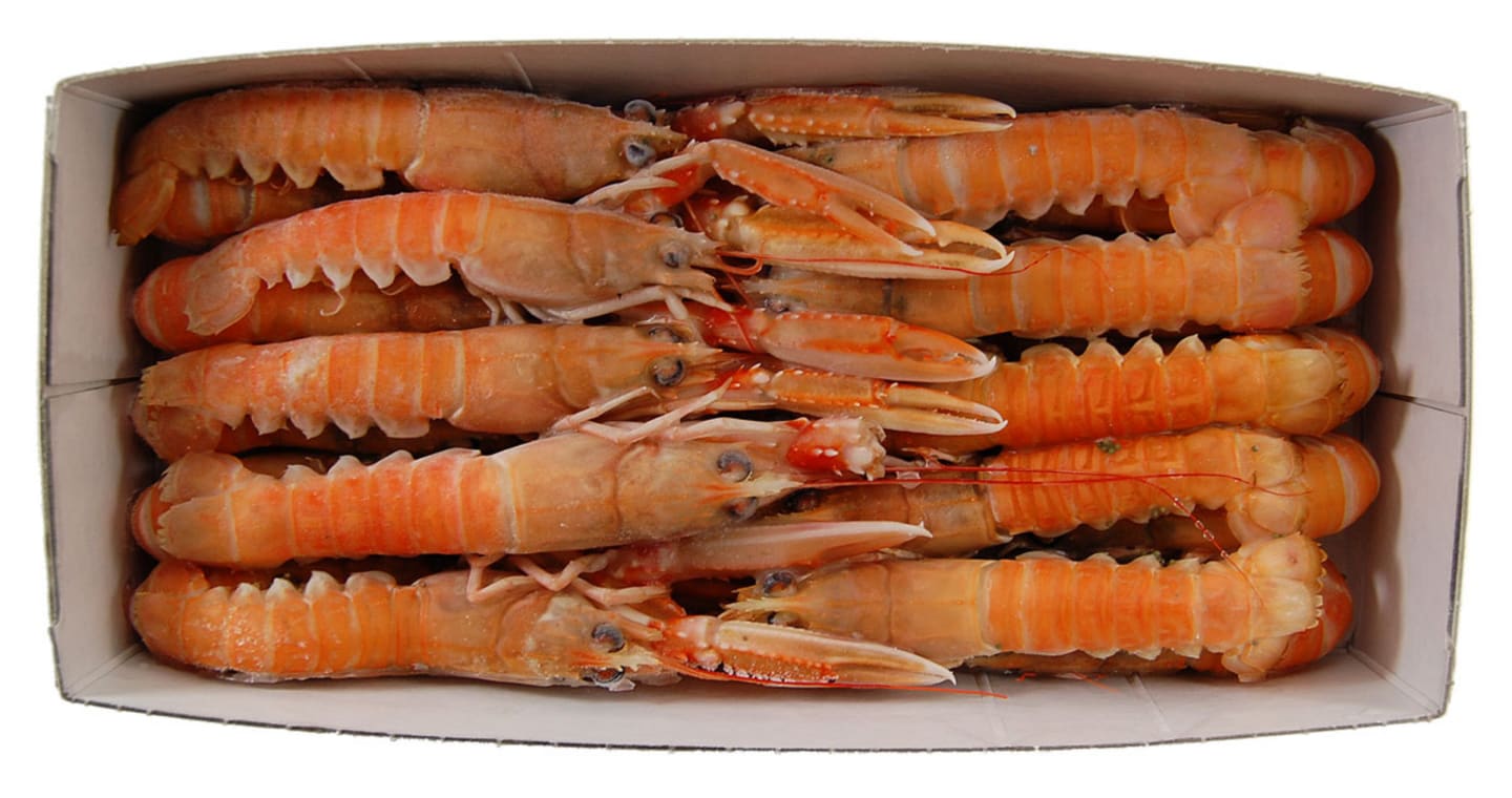 Havskräfta rå MSC 17/20 800g