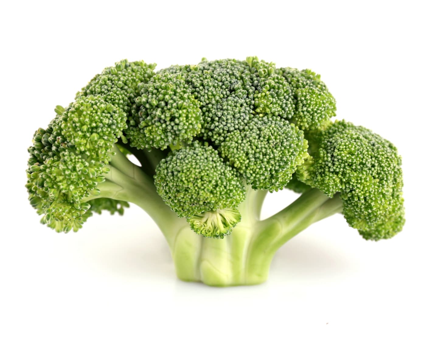 Broccoli