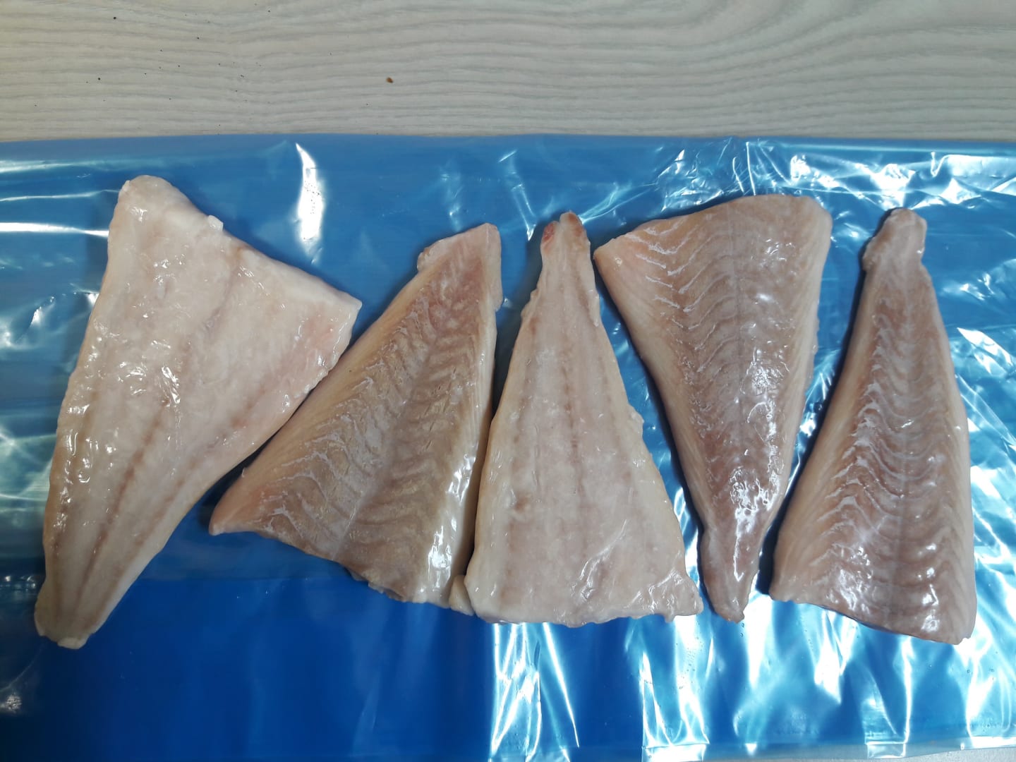 Sejfilé MSC 170-240/4,5kg